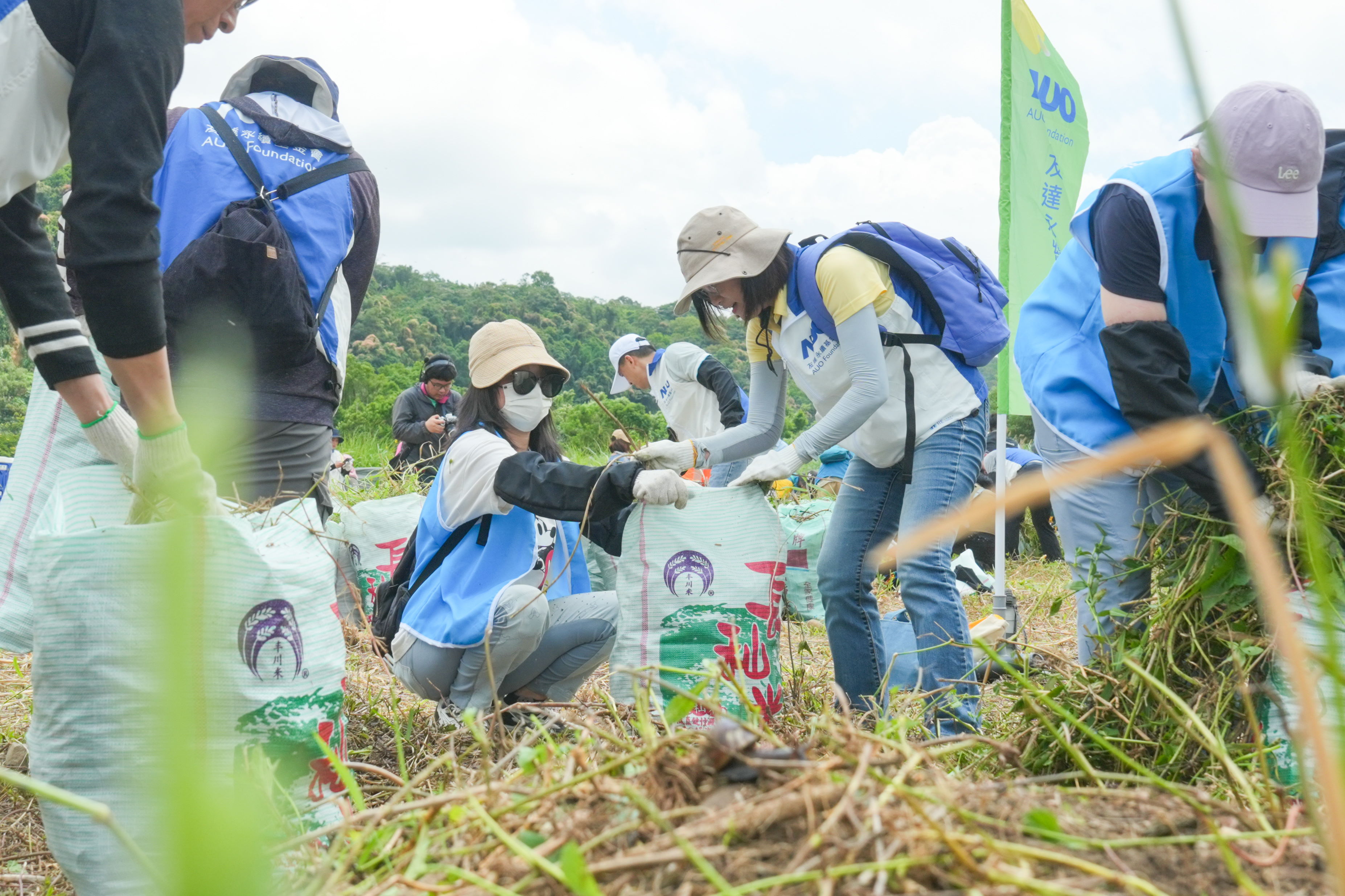 ���_��������Ӌ���������i�����eϪ�ذ�3.2�����Ƴ�������ַNС�������m���K�M����N�c�����{�飬��ӛ�91��181��239�N�S����ֲ��@ʾԓ�^��߸߶����B�rֵ